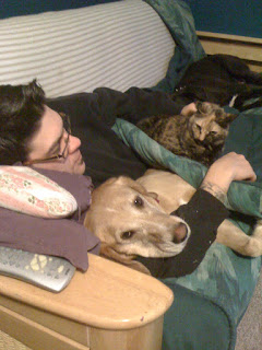 Napping with pets