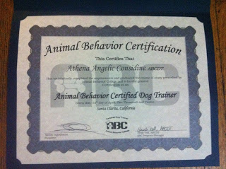 Animal Behavior Certified Dog Trainer