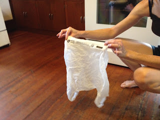 Trainer Tips–Save money on dog clean-up bags.