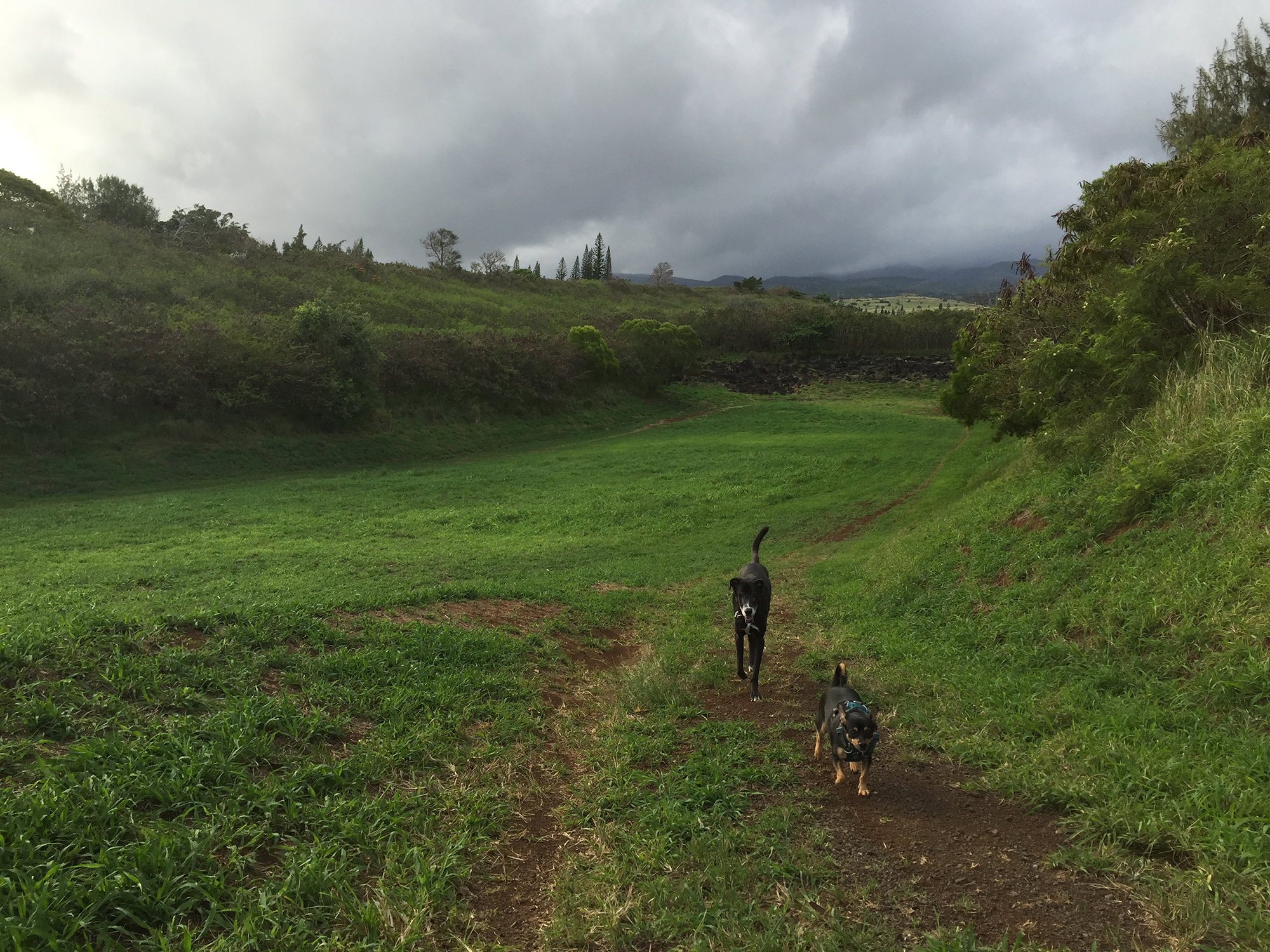 Video Adventure:  Hiking the L in Lahaina