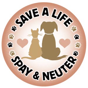 Trainer Tips — Why Spay/ Neuter Your Pet?